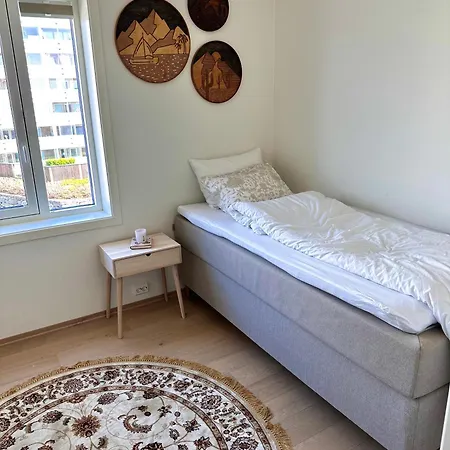 Stor Sentralt I Appartement